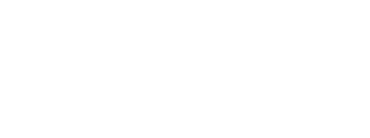 pace logo white